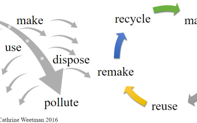 Circular Economies: Paving the Path for a Sustainable Future